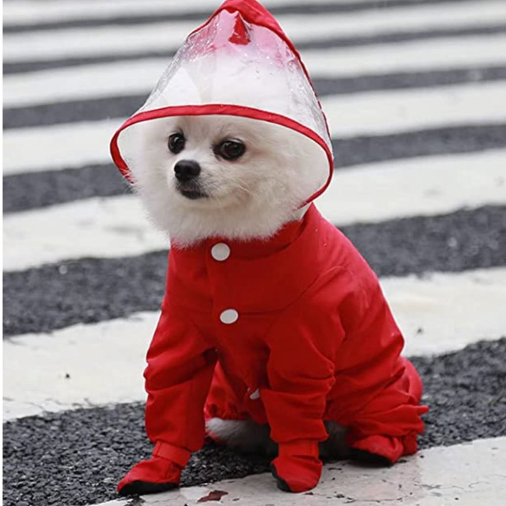 (New)Dog Raincoat Full Body Protection, Medium🤩